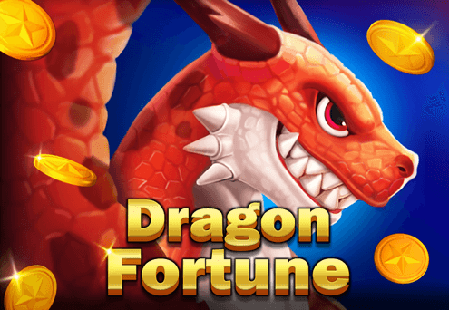 Dragon Fortune CO88