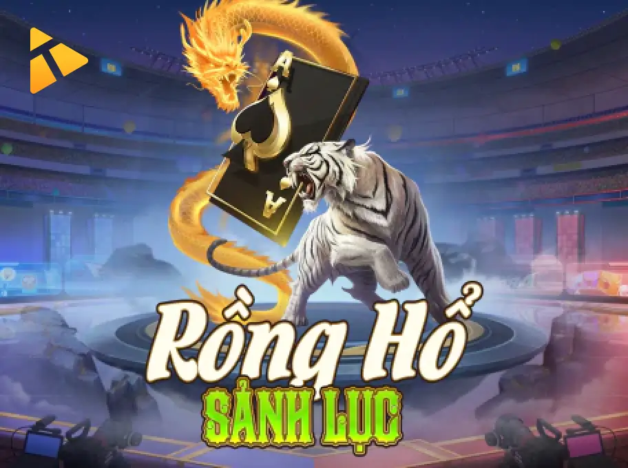 Rồng Hổ CO88