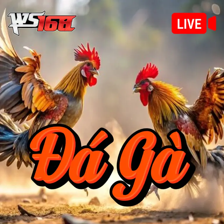 Đá Gà Livestream DU88