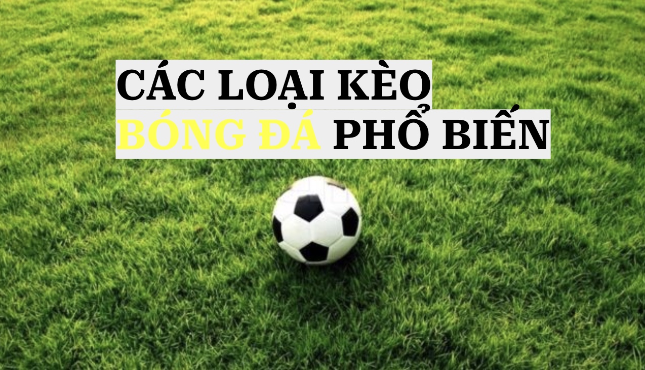 LOẠI KÈO BÓNG ĐÁ MÀ BẠN CẦN PHẢI BIẾT DU88