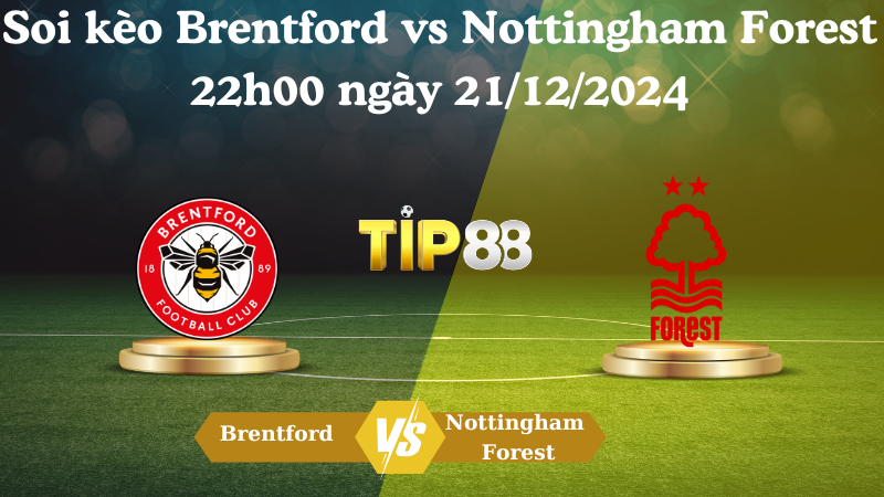 Nhận định soi kèo Brentford vs Nottingham Forest 22h00 ngày 21/12/2024 – Ngoại hạng Anh TIP88