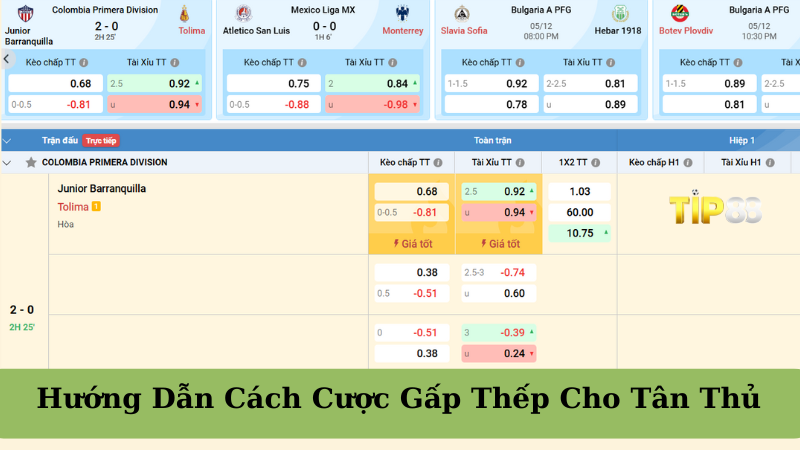 Cược Gấp Thếp Là Gì? Hướng Dẫn Cách Cược Gấp Thếp Cho Tân Thủ TIP88