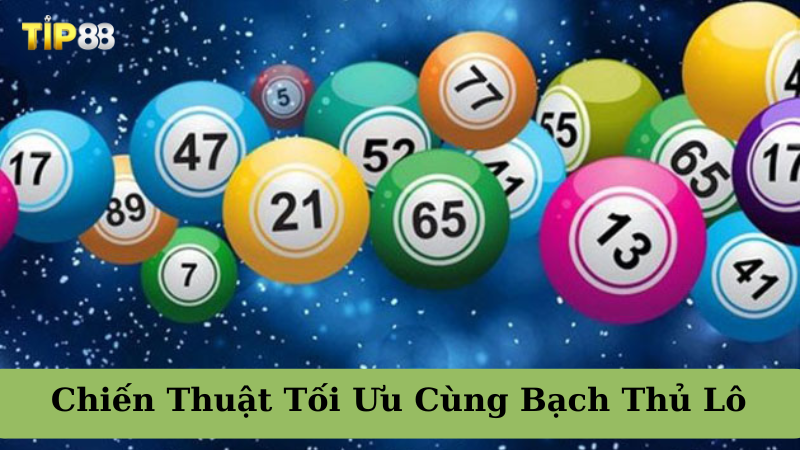 Bạch Thủ Lô Là Gì? Chiến Thuật Tối Ưu Khi Chơi Lô Đề Cùng Bạch Thủ Lô TIP88