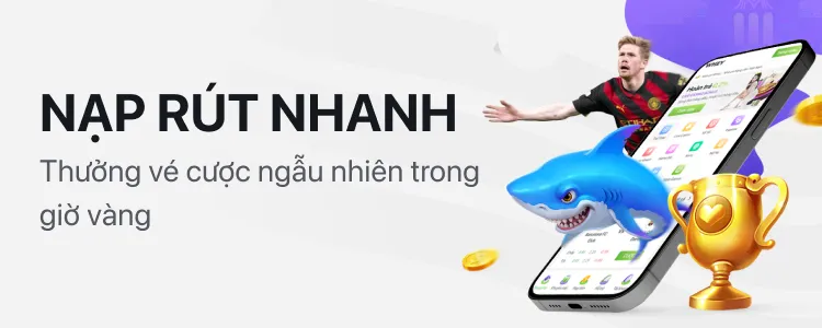 Nạp rút nhanh HO88